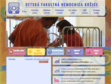 Tablet Screenshot of dfnkosice.sk